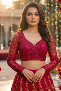 Soul Of A Star-Designer Net Blouse