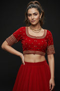 The Velvet Verse Designer Blouse