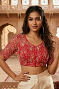 Organza Twist – All Over Embroidered Organza Blouse