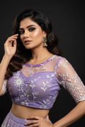 Smiles For Miles Designer Net Blouse