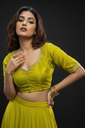Decent Swag-Designer Blouse