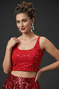 Smiling Red (Fancy Designer Blouse)