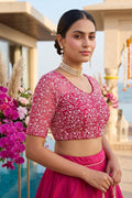 A Quiet Connection- Designer Net Blouse