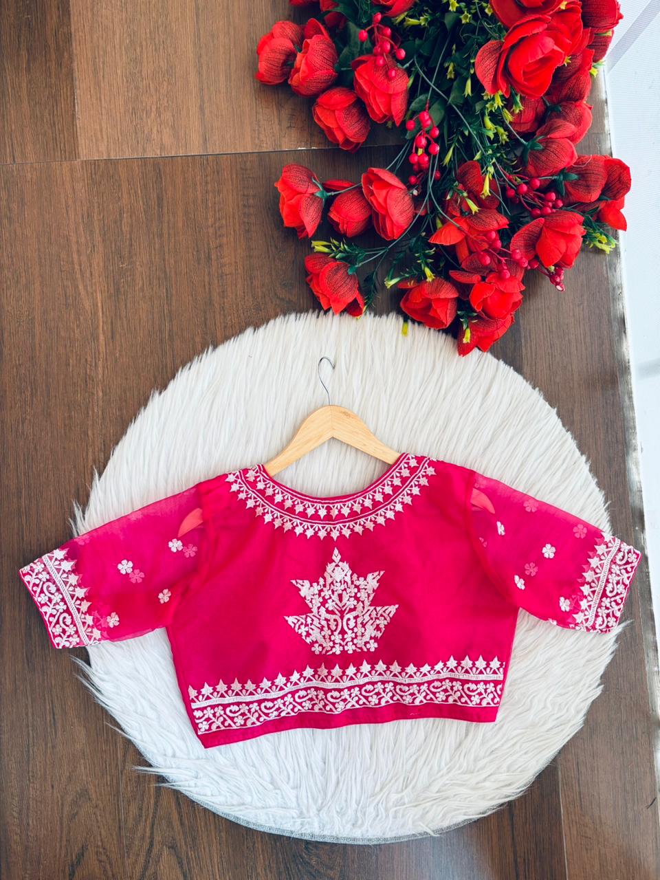 Adorable Organza Designer Blouse