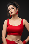 Something Different (Fancy Designer Blouse)